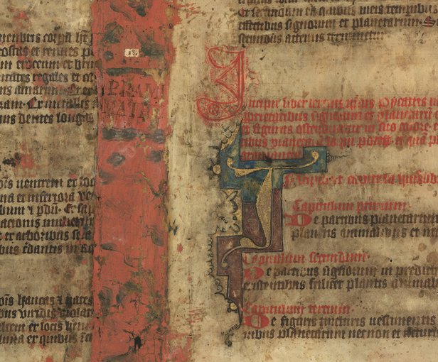 Rękopis „Picatrix”, średniowieczna tradycja magii astralnej - domena publiczna